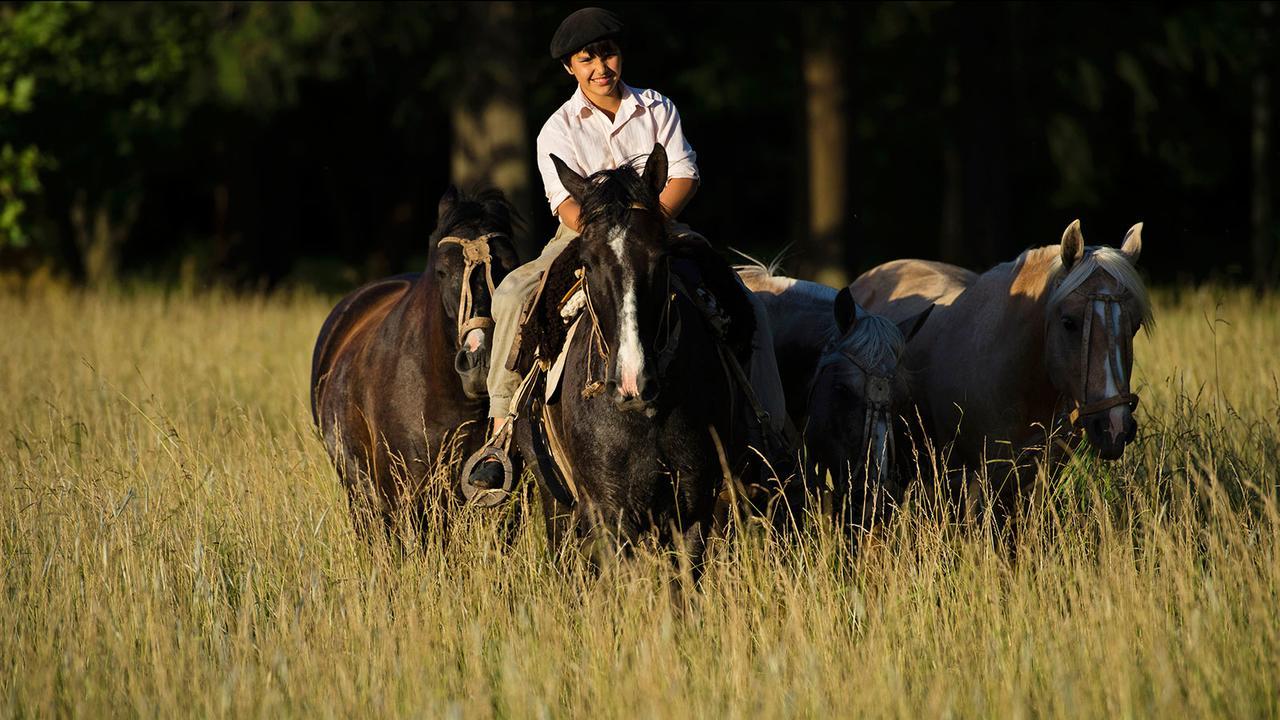 Estancia La Bandada San Miguel del Monte Kültér fotó